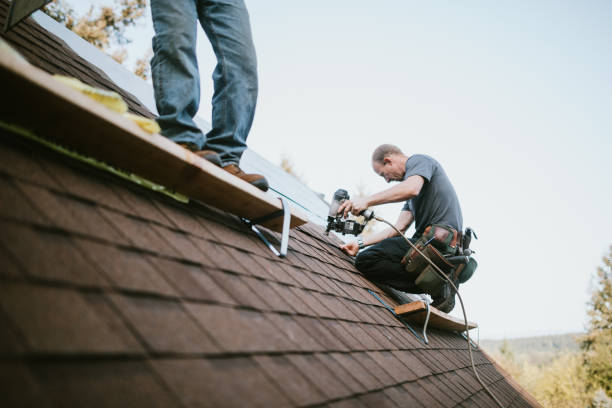 Emergency Roof Repair in North Druid Hills, GA